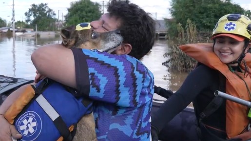 Voluntário encontra o próprio cão ilhado em telhado; assista