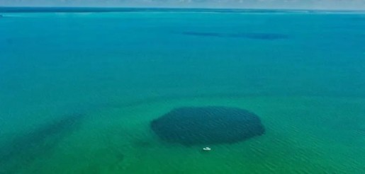 Buraco azul mais profundo do mundo é identificado em baía no México