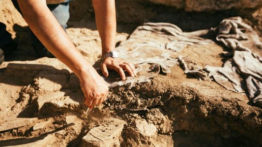 Fósseis falsos de dinossauros: como a Paleontologia pode ser afetada com revelações