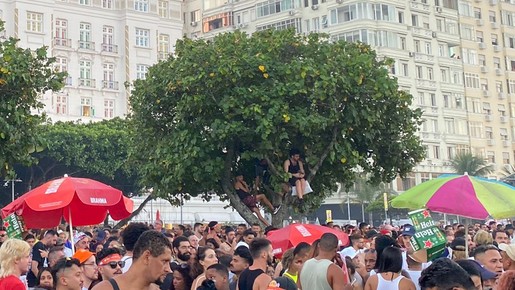 SIGA: fãs garantem lugares em árvores para ver Madonna