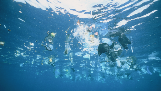 5 empresas são responsáveis por 24% da poluição por plásticos no mundo, diz estudo