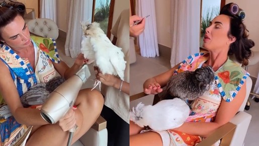 Nicole Bahls diverte fãs ao levar galinhas de estimação ao salão de beleza