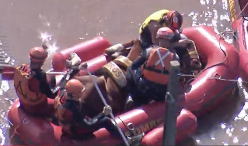 Exército usa bote para resgatar cavalo ilhado em Canoas 