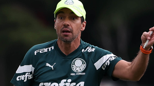 Abel cita disparidade do Fla: 'Palmeiras faz muito com recursos que tem'