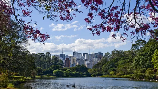 São Paulo supera, de novo, o Rio e está entre as 30 melhores cidades para se viver em 2024