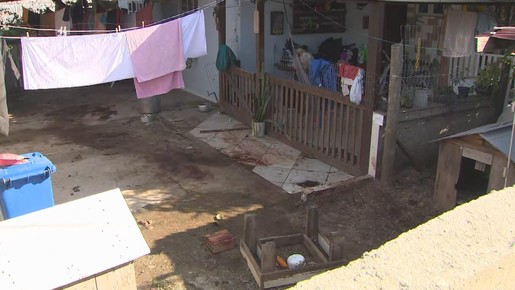 Quatro pitbulls matam homem em quintal de casa em Florianópolis; entenda o caso
