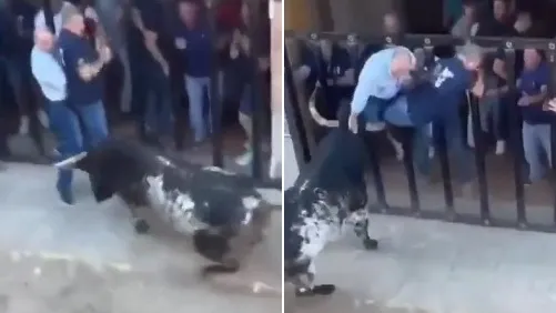 Homem morre após ser chifrado por touro em festival na Espanha; imagens fortes