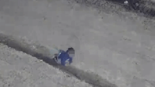 Bebê de um ano escapa de casa engatinhando com seu cachorro e é salvo pela polícia; vídeo