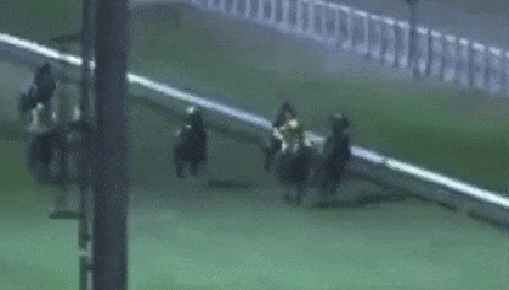 Jóquei de 21 anos fica em estado gravíssimo ao cair do cavalo durante páreo no Rio; vídeo