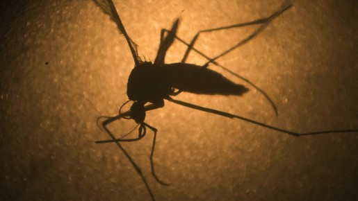 Brasil chega a 3 mil mortos por dengue em 2024