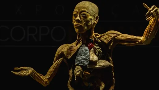 Corpos reais são expostos em mostra no Rio que revela como somos por dentro; fotos