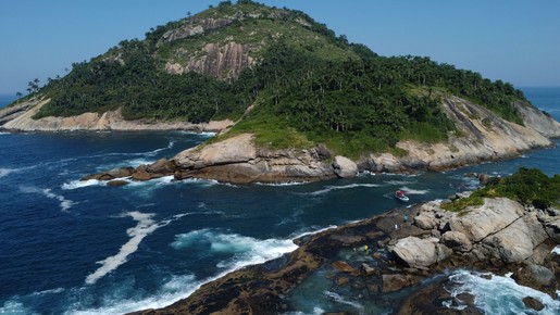 Golfinhos, tartarugas e corais: ilhas da Rio entram na lista mundial de 'Hope Spots'