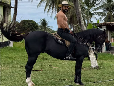 Dono do hit ' Casca de Bala', Thullio Milionário compra cavalo de R$ 1 milhão para vaquejada