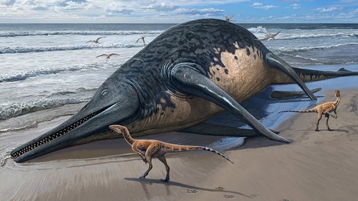 Família encontra fóssil na Inglaterra que pode ser do maior réptil marinho conhecido